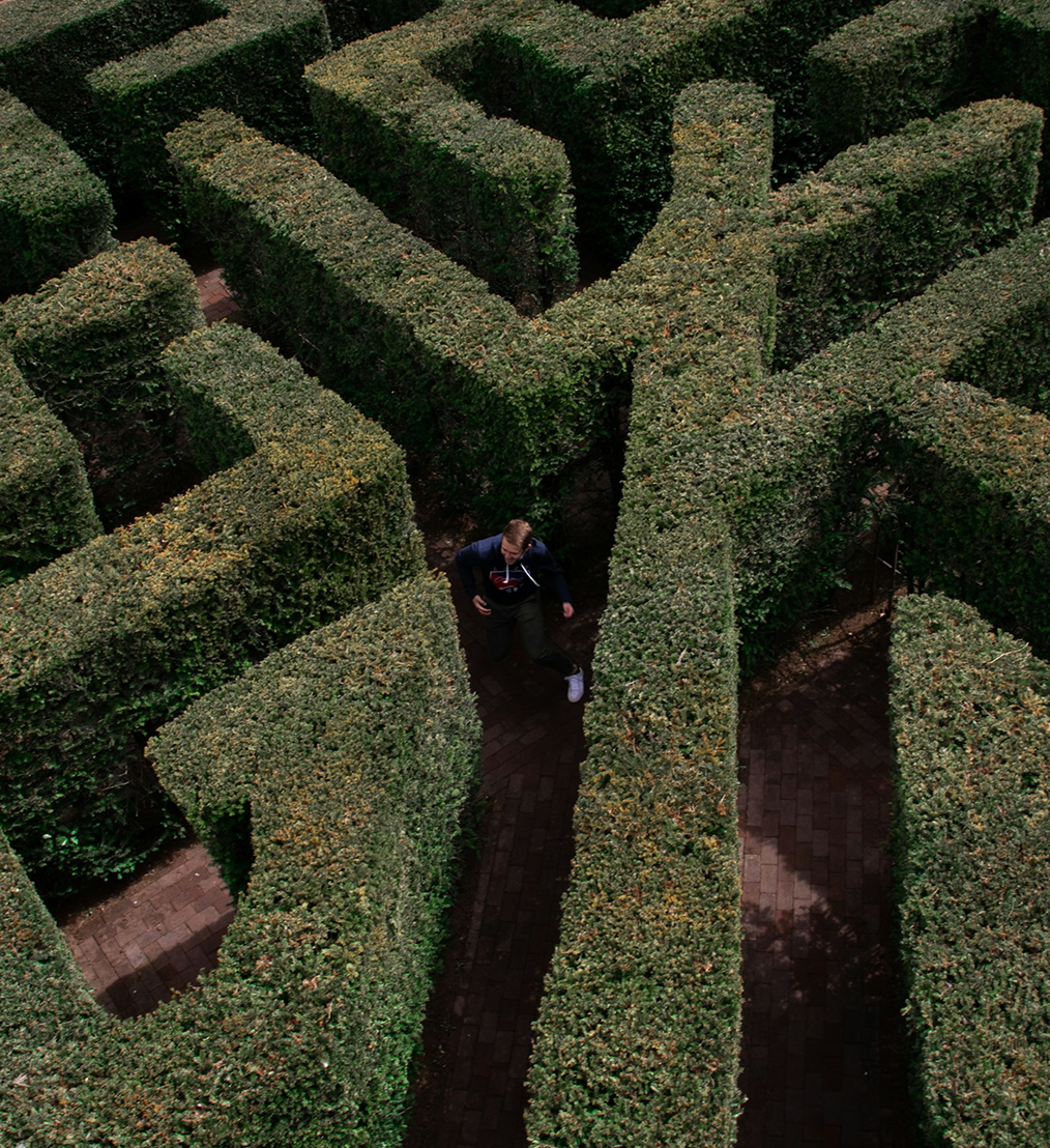 A person walking through a tall, green hedge maze viewed from above.